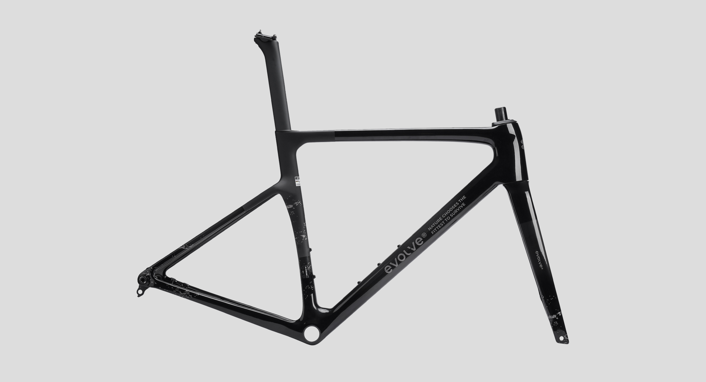 Nirvana Frame