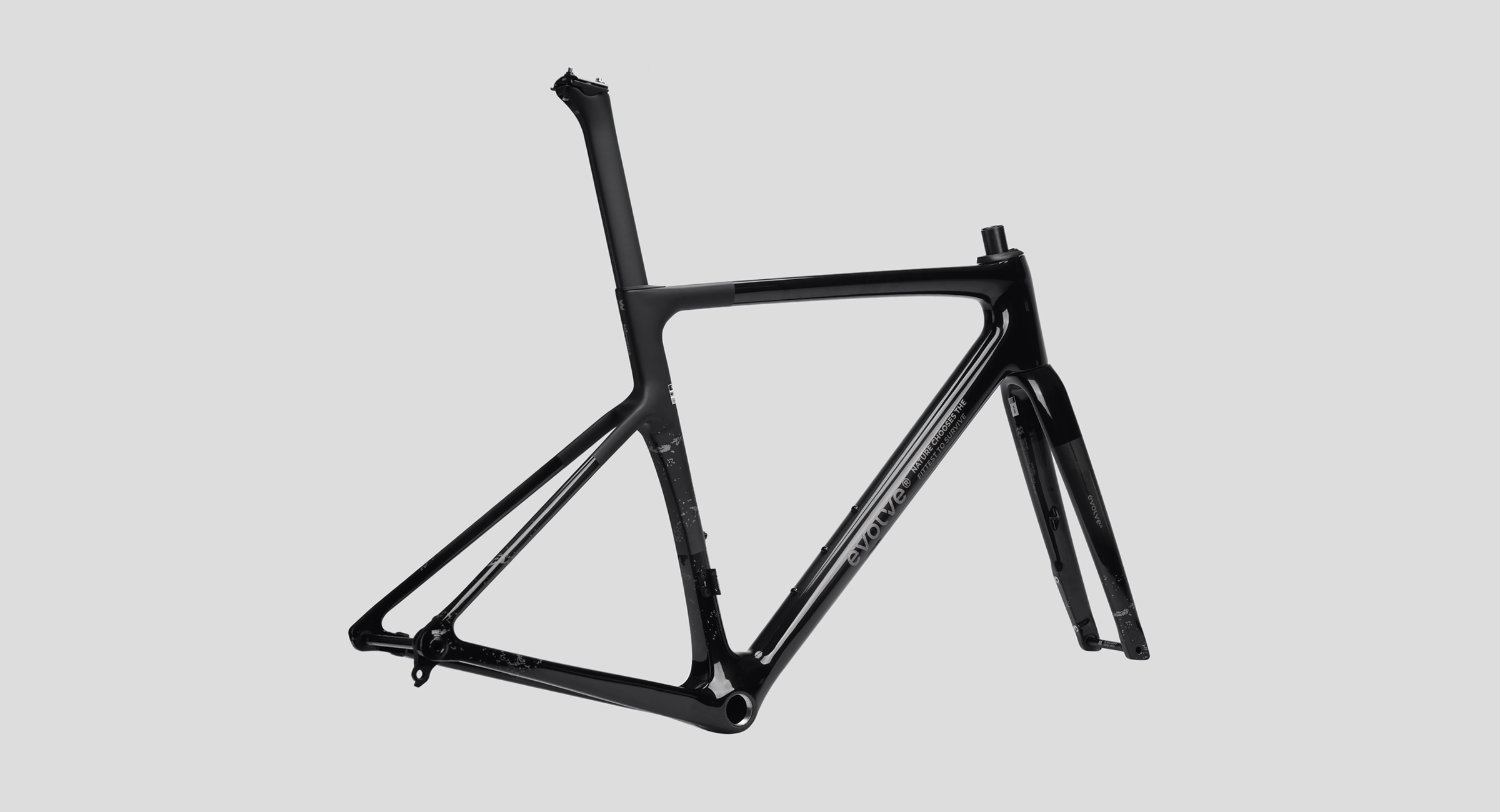 Nirvana Frame