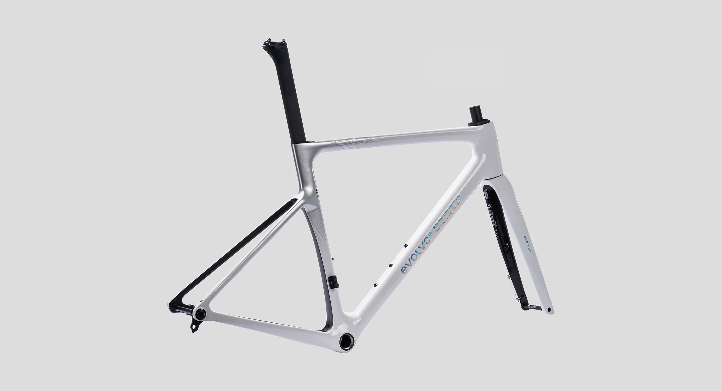 CIMA-Special-Edition-Billow-1