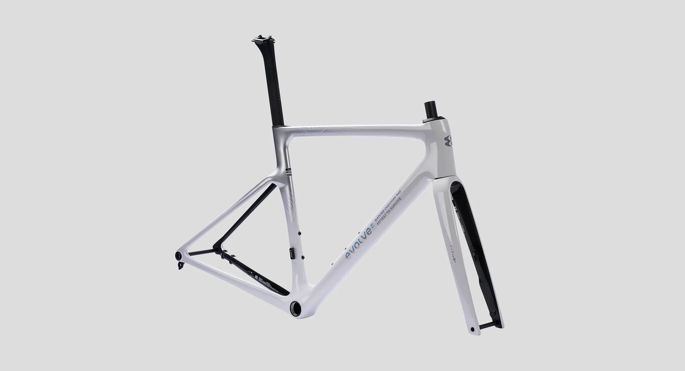 CIMA-Special-Edition-Billow-2