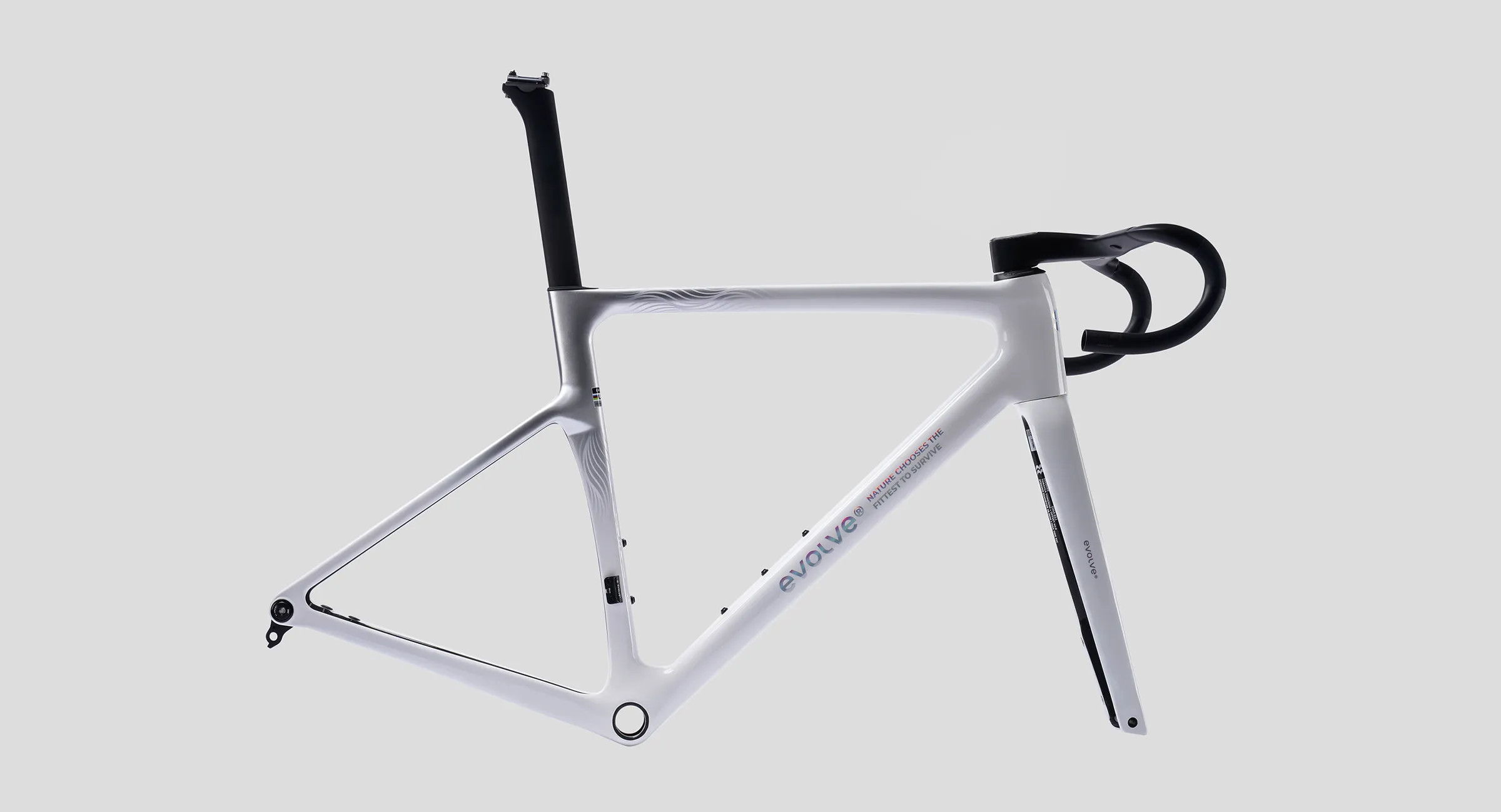 CIMA-Special-Edition-Billow-3