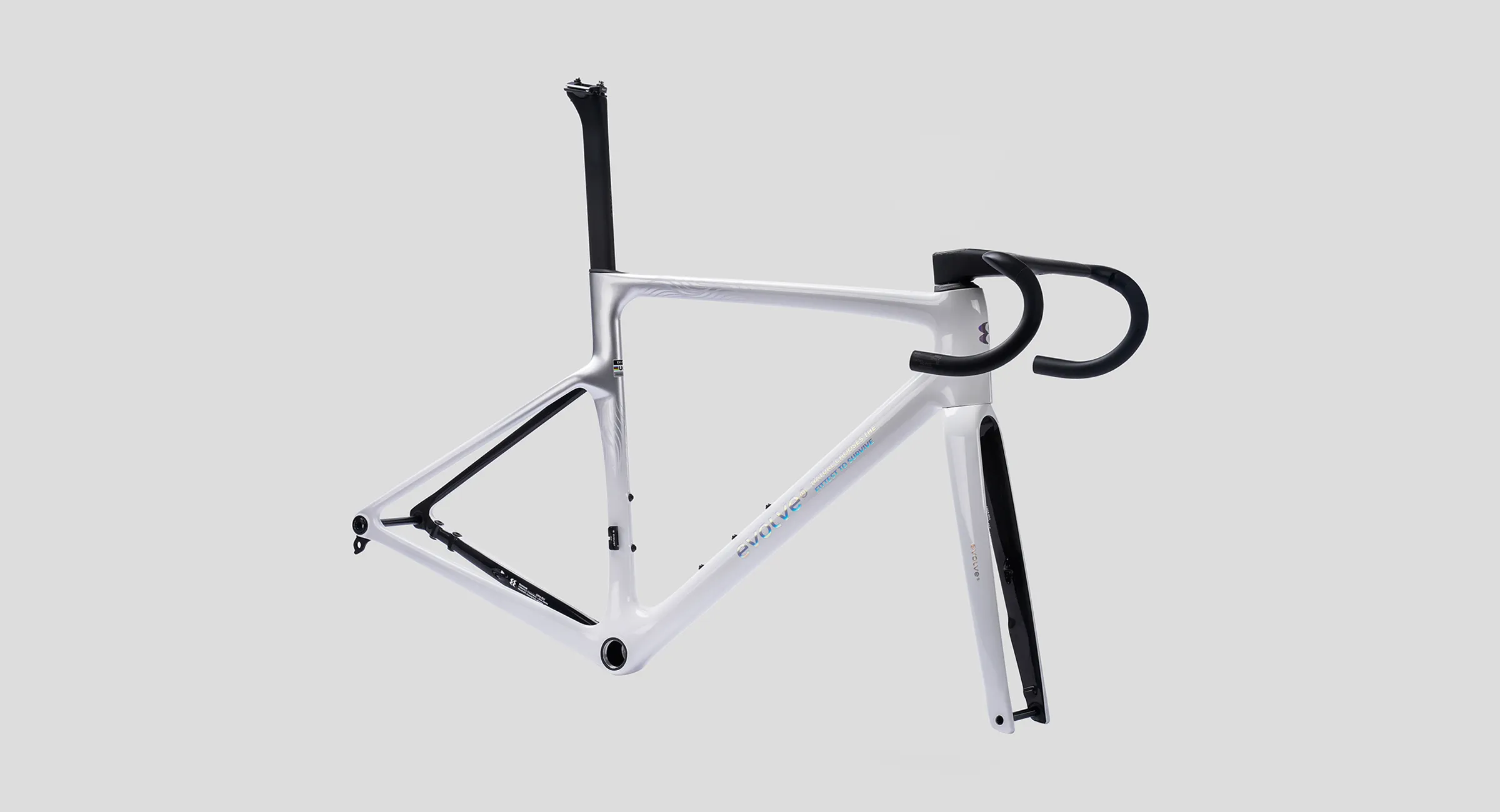 CIMA-Special-Edition-Billow-4