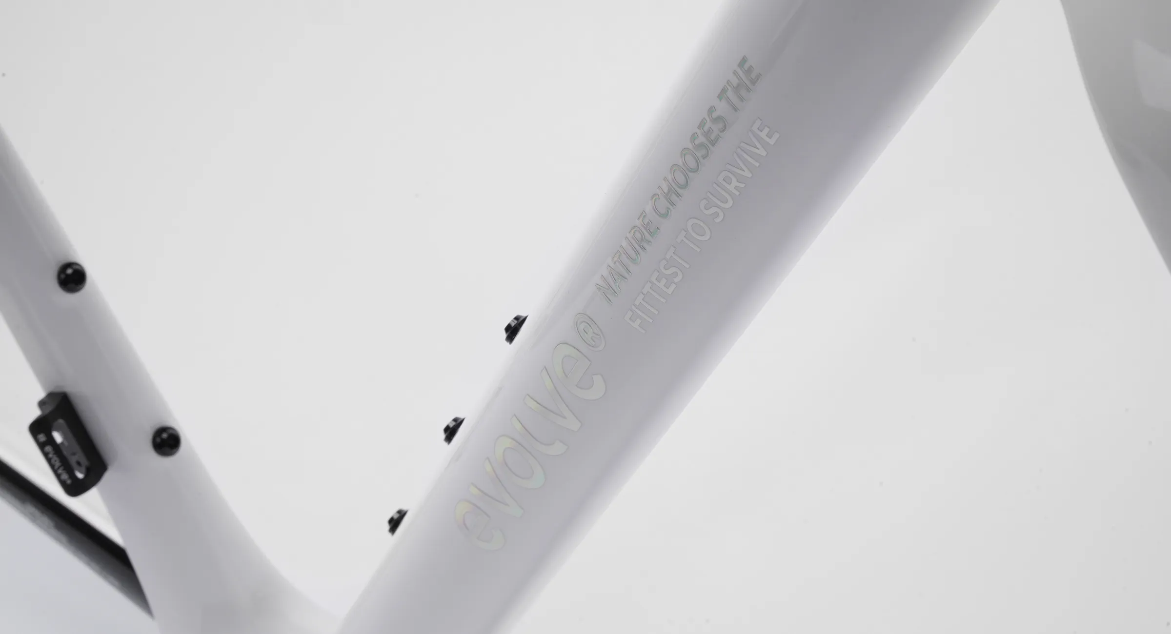 CIMA-Special-Edition-Billow-7